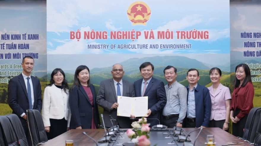 ADB announces US$2 million emergency aid for flood-hit central Vietnam